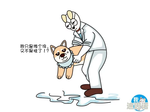 小明同学成人永久看看：从儿童心理发展到成年后社会适应的全面解析与思考