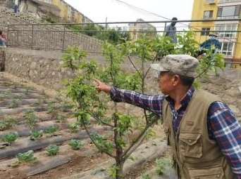男朋友想亲小花园怎么回复？超意外的浪漫建议，让你们的关系更升温！