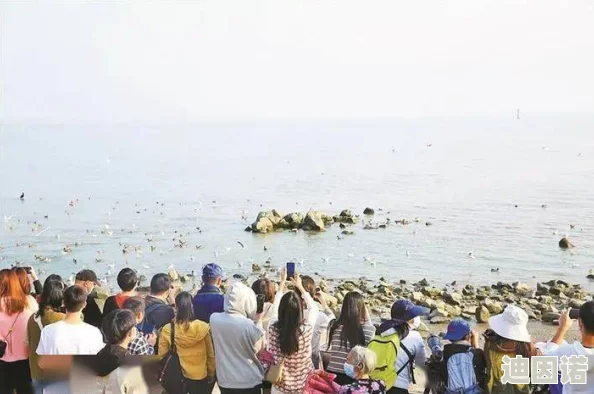 大连公园里30元一次，游客纷纷表示性价比高，周末游玩人流量激增，成为市民休闲新选择